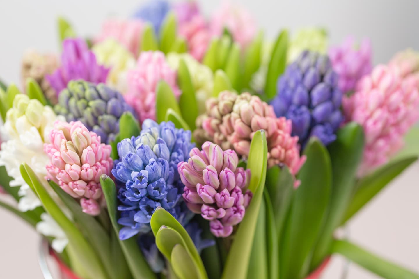 decoracion-flores-primavera-jacintos