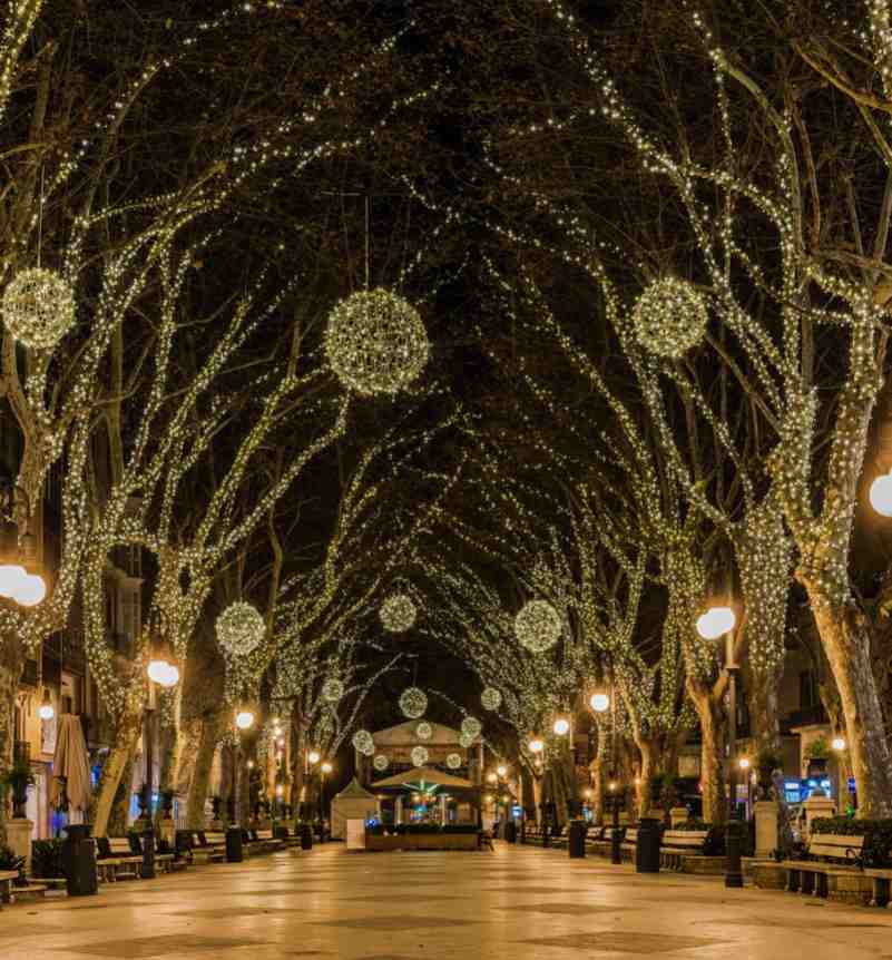 Planes para navidad Mallorca