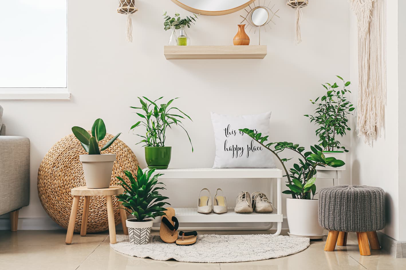 decorar el recibidor con plantas