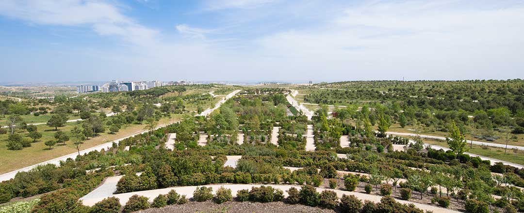 Parques en Valdebebas